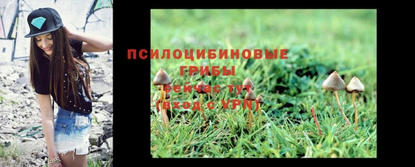 эйфоретик Абинск